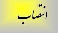 انتصاب آقای دکتر حسین کربلایی میرزاحسینی به عنوان مدیر گروه آموزشی  دانشکده داروسازی